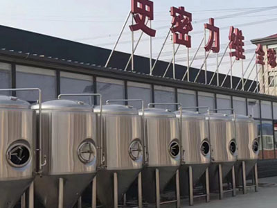宿松精酿啤酒设备厂—市场规模与跨界新需求